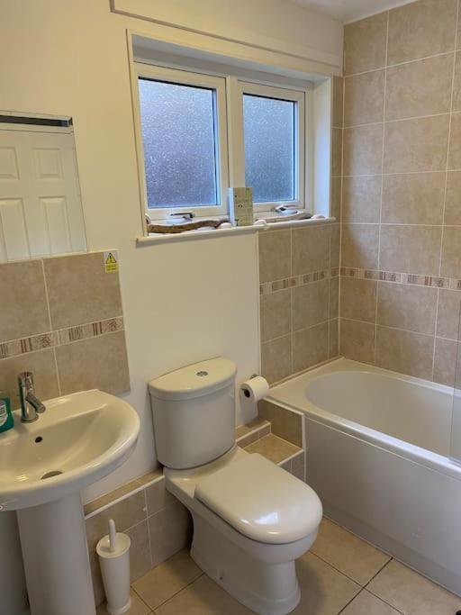 3 Bedroom Lodge With Hot Tub On Lovely Quiet Holiday Park In Cornwall Gunnislake Buitenkant foto